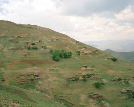 TETTAMANTI