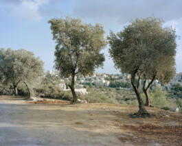 TETTAMANTI