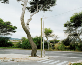 TETTAMANTI