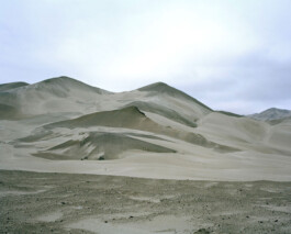 TETTAMANTI