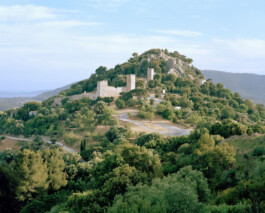 TETTAMANTI