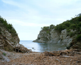 TETTAMANTI