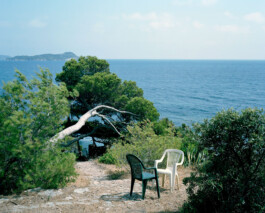 TETTAMANTI