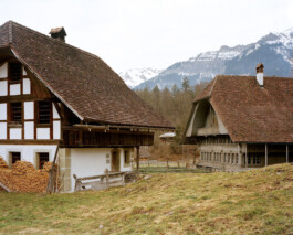 TETTAMANTI