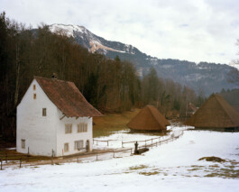 TETTAMANTI