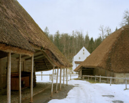 TETTAMANTI