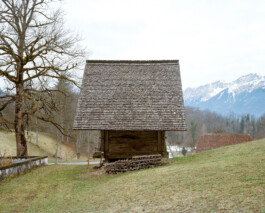 TETTAMANTI