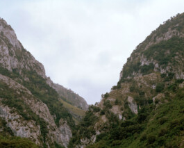 TETTAMANTI