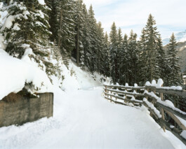 TETTAMANTI